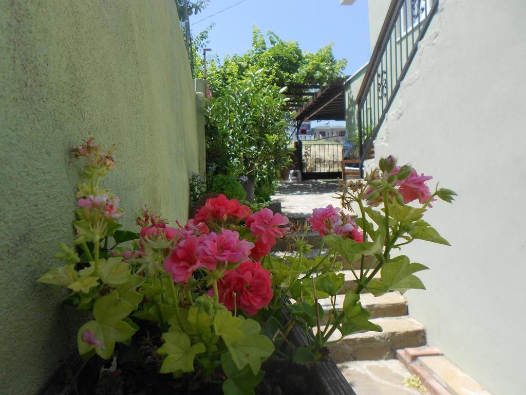 Irmak Family Pension & Apartments エジェアバト 部屋 写真